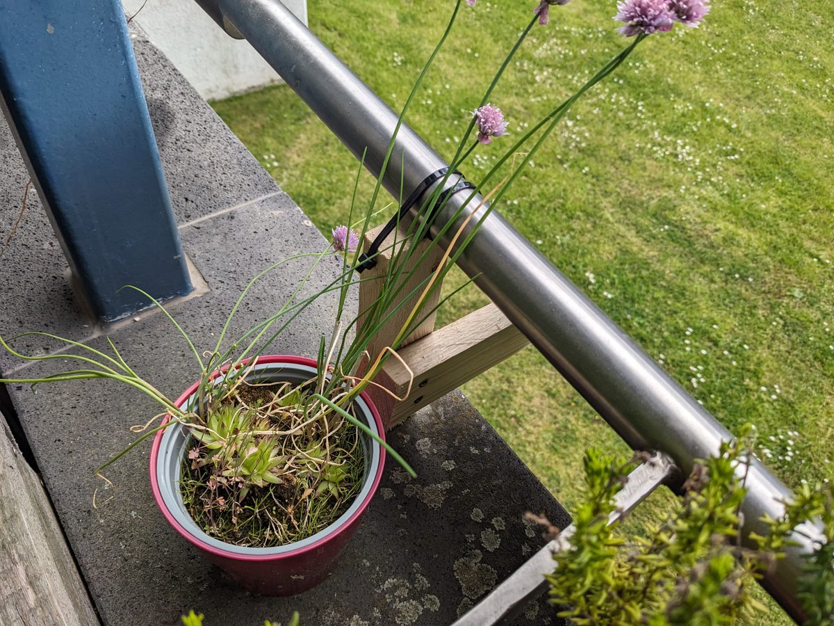 Christian Richter | Fensterkraftwerk GmbH tweet media