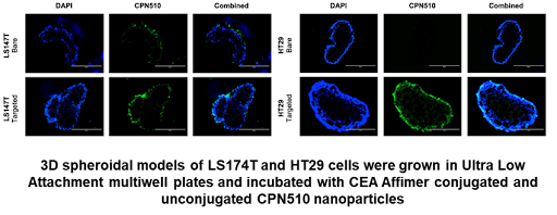 Access the second of our collaborative peer-reviewed papers showing work with the School of Medicine, @UniversityLeeds, with the aim of improving Bowel cancer treatment. pubs.rsc.org/en/content/art… #DiscoverBright #FluorescenceFriday @NIHRresearch