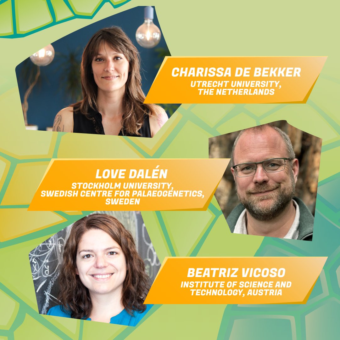 We are proud to announce the Keynote Speakers for #ESEB2025 in #EvolutionaryBiology.  

🗓 Save the Date On June 3, 2024, we open the Call for #Symposia.   

ESEB’s “bottom-up” approach allows you to shape the congress programme.   

📷 Preregister now: bit.ly/3WYj2uZ