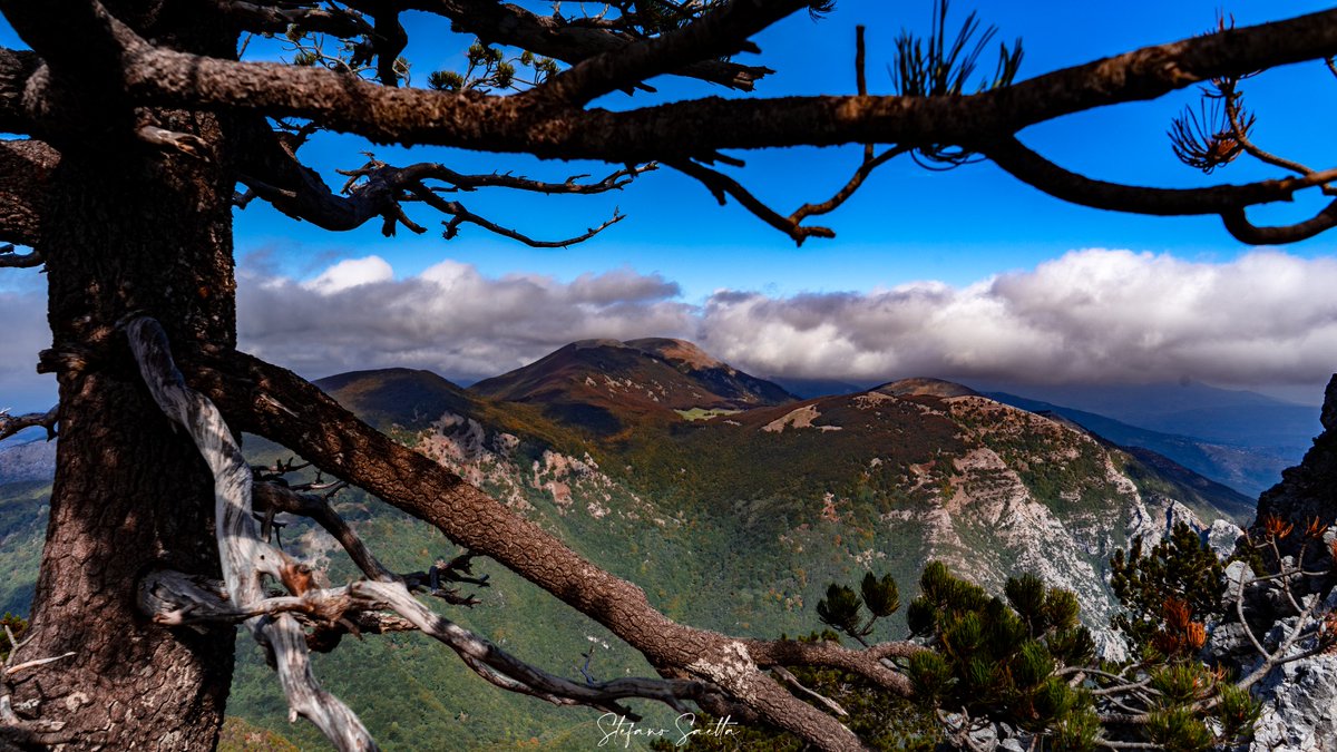 La Montea è una delle montagne più a sud del Parco del Pollino, con la sua cresta dalle caratteristiche cime dolomitiche...

Approfondisci: isentieridelpollino.it/itinerari-escu…
Foto ©Stefano Saetta

#escursioniparcopollino #escursioniguidate #montagna #pollinocalabro #calabriadaamare