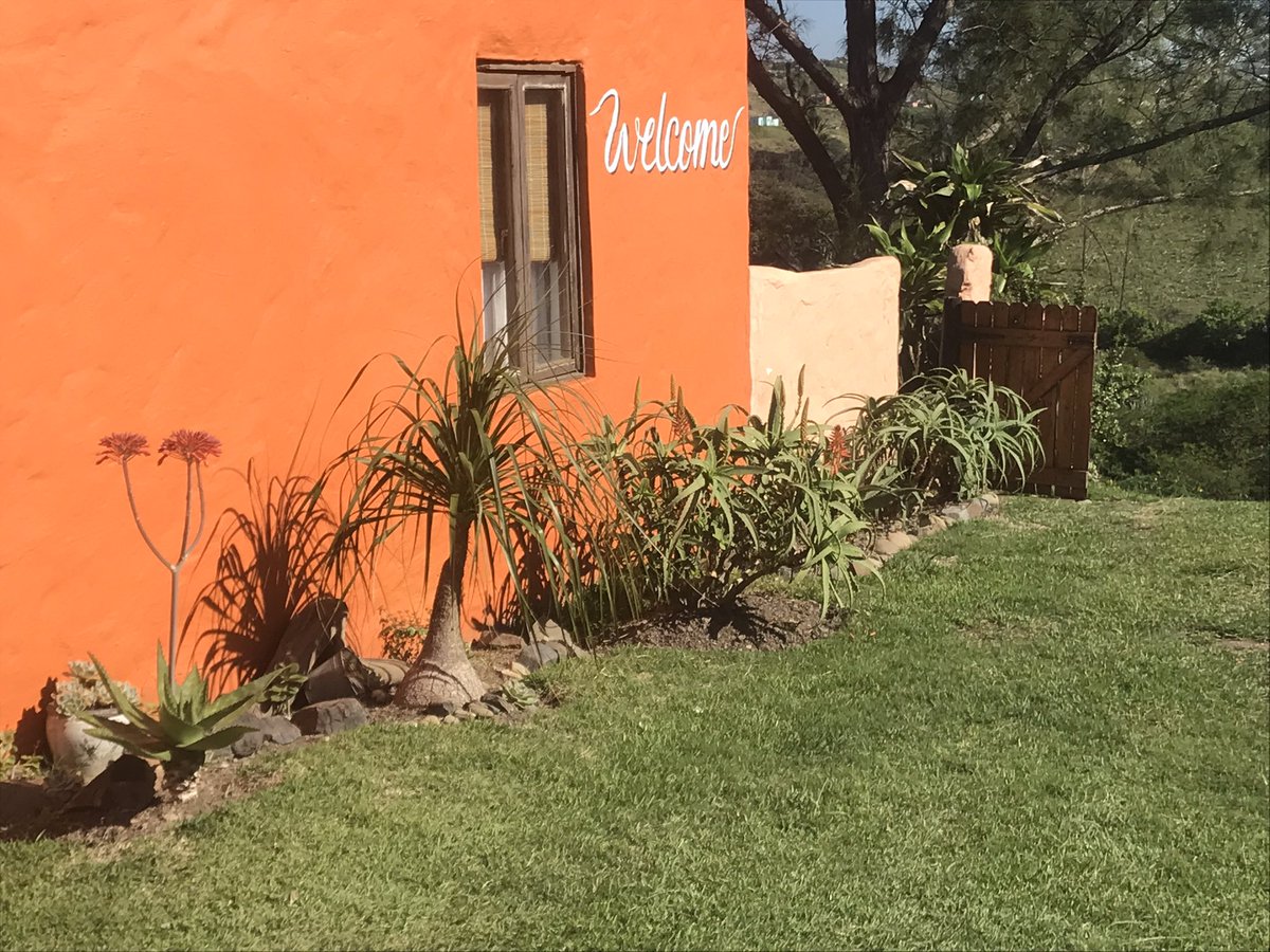 Aloes are blooming… means shad are biting. #wildcoast #transkei
#accommodation #petfriendly #freewifi #surf #fishing #kayaking #adventure #hiking #beachlife #surfing  #dinewithus #workremotely #footprintsbar 
@SportswaveAndre
#StrongerTogether
🌴🎣🥾🐾🌅🍻 🌊