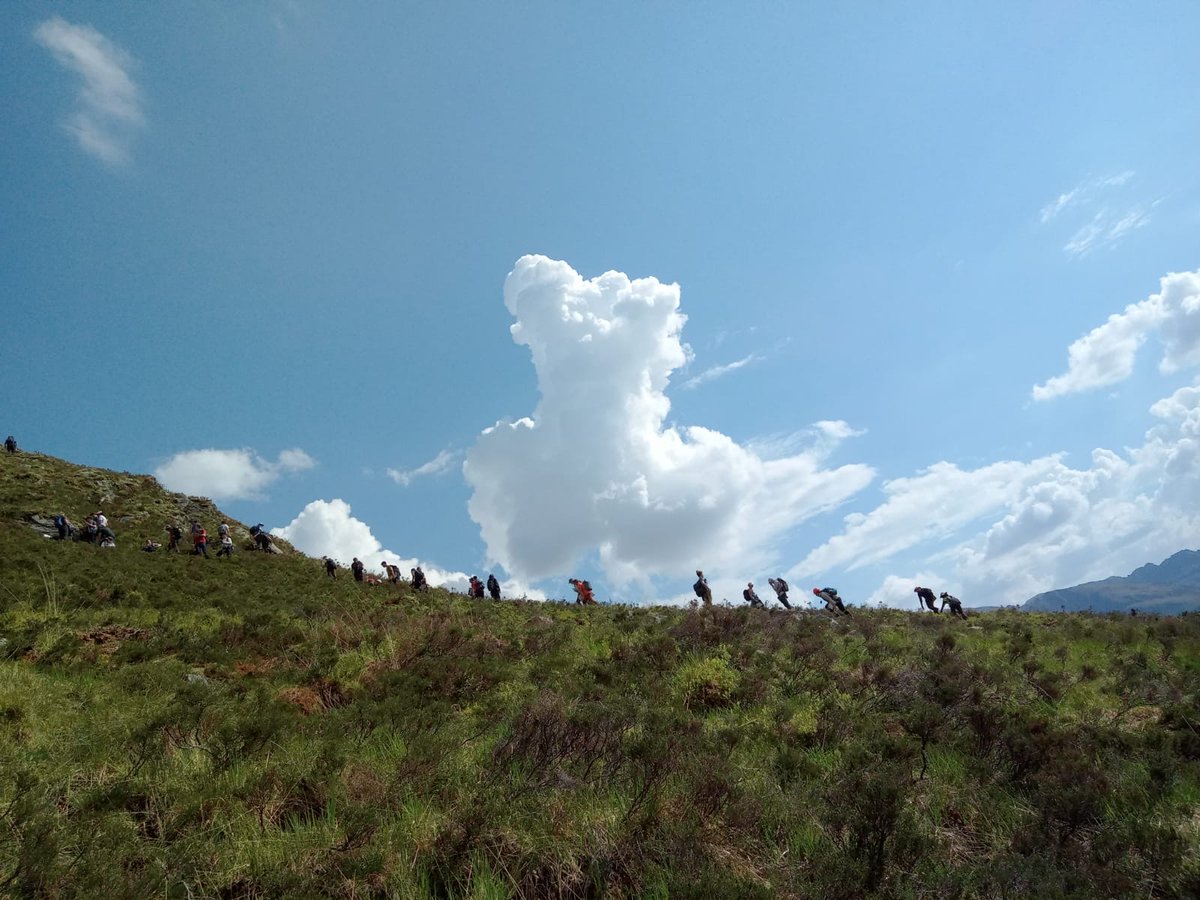 Imperial Earth Science & Engineering tweet media