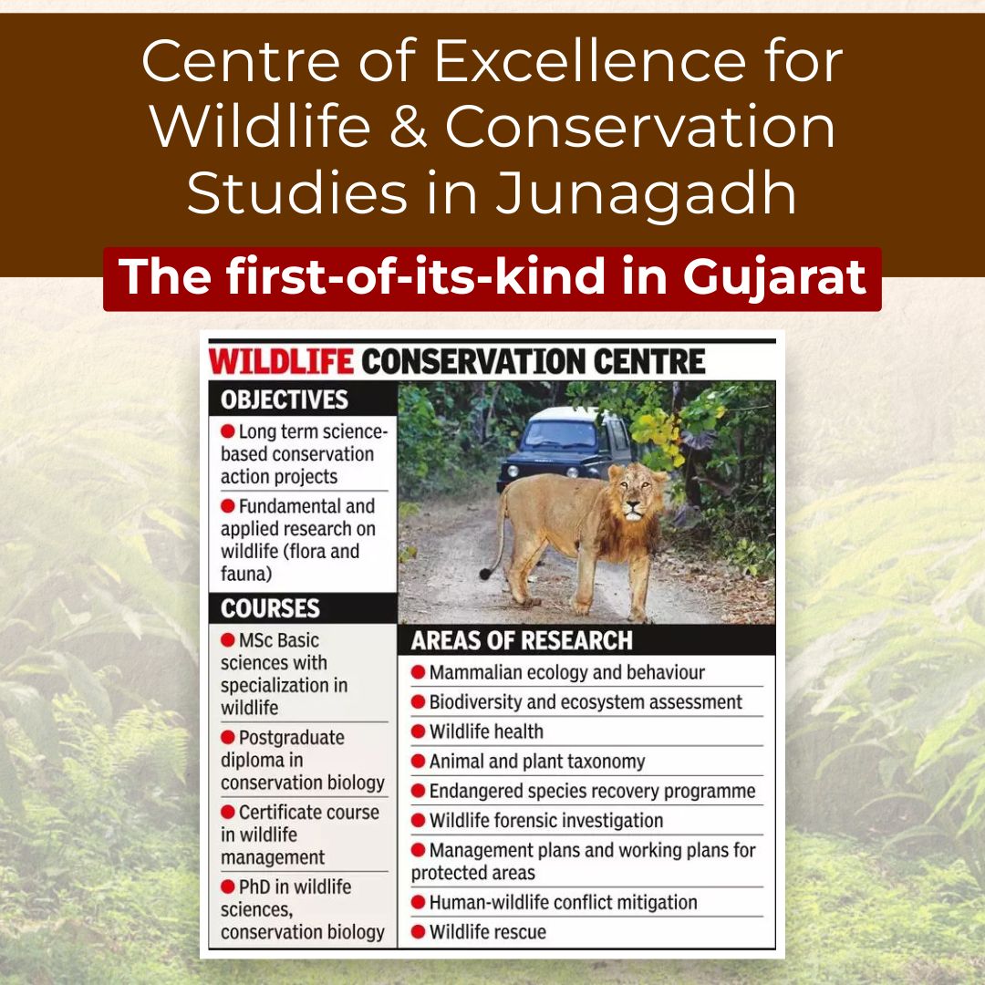 Establishing the Centre of Excellence for Wildlife & Conservation Studies in #Junagadh is a groundbreaking move. As the first such centre in #Gujarat, it will offer specialized courses & training for Indian Forest Service officers, advancing wildlife health and rescue. This