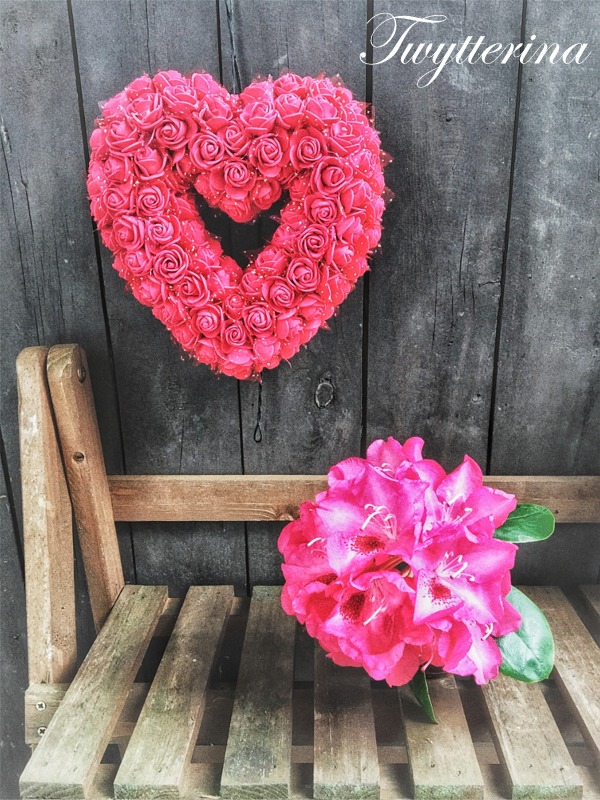 Guten Morgen! ☕️

Schönheit zieht Herz an, aber Charakter zieht Seele an.
 - Sindhu Vishnu -

...und wenn beides vereint und ungekünstelt am Wirken ist, verdoppelt sich die Strahlkraft auf natürlich schöne Weise. 💗💮

#Tagesgedanke #Fotografie