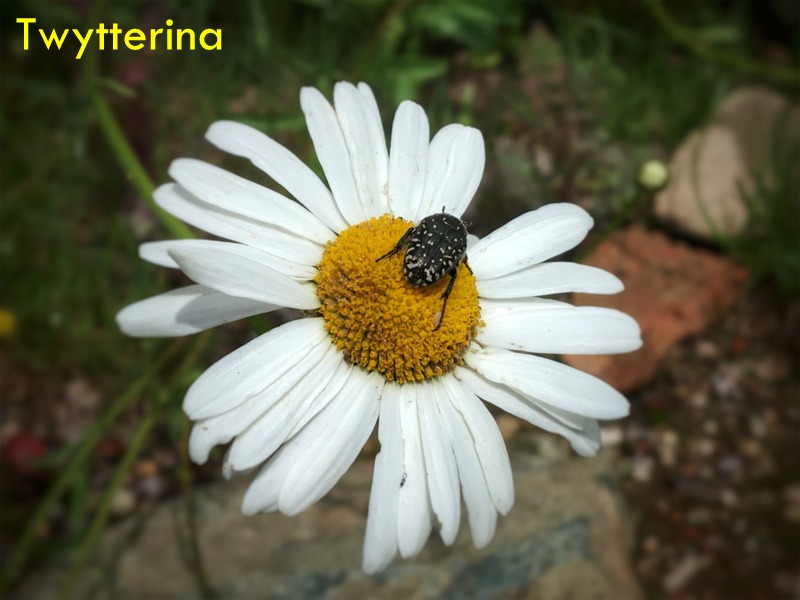 Guten Morgen! ☕️

Woran deine Augen hängen bleiben, zeigt dir, wonach deine Seele sucht.
- Netzfund -

Findet... immer mehr heraus, wonach eure Seele wirklich verlangt! 😌💮🐞

#Tagesgedanke #Fotografie #Wochenende