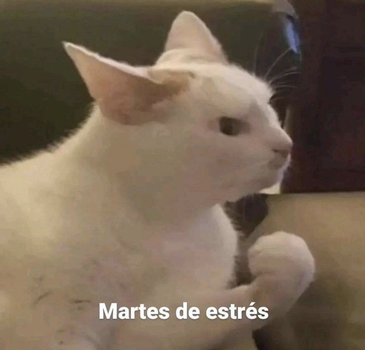 triste y con ganas de morirme ☹︎ tweet media