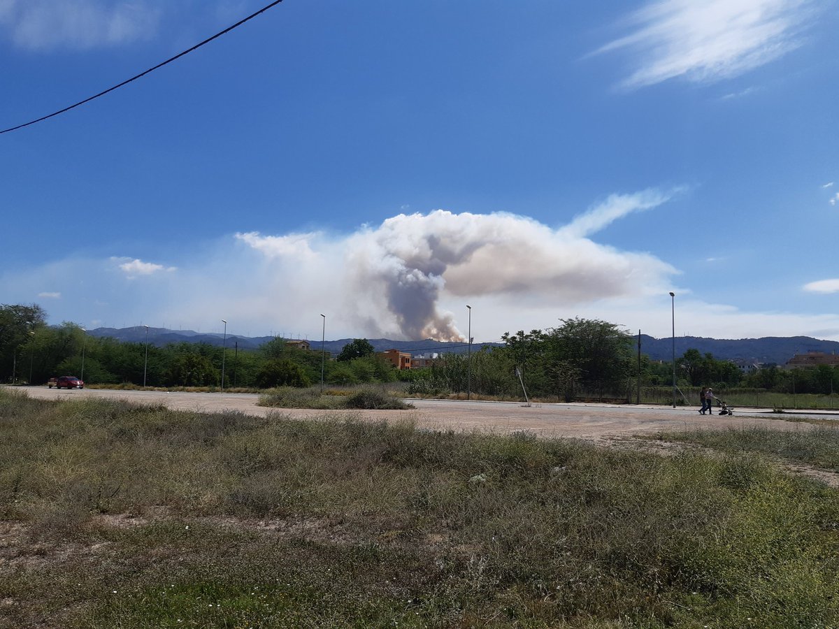 Des de Roquetes, esta és la visió del #IFTortosa al coll de l'Alba.
La garbinada ja entra amb més força i ja veurem com acaba.
Es fan polítiques d'abandonament del Territori i ara a córrer tothom a apagar incendis que van començar fa 50 anys.