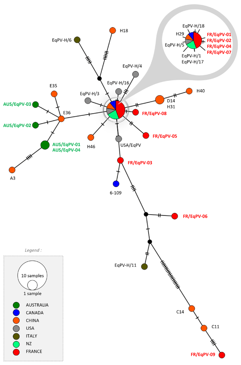 Discover the paper 'Detection of Equine #Parvovirus-Hepatitis Virus and Equine #Hepacivirus in Archived Sera from #Horses in France and Australia' by Fortier et al. 🤩Dive into this intriguing research: mdpi.com/1999-4915/16/6…