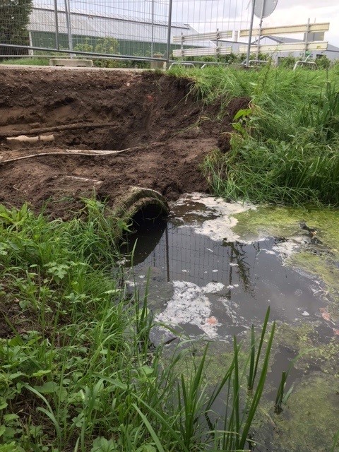 In Oosterhout vervangen we een duiker, een buis waardoor water door stroomt naar een bredere sloot verderop. De nieuwe duiker is groter. Voor betere doorstroming en voorkomen wateroverlast. I.v.m. het werk is de Oosterhoutsestraat tussen nr 32 en 89 afgesloten tot 9 juni.