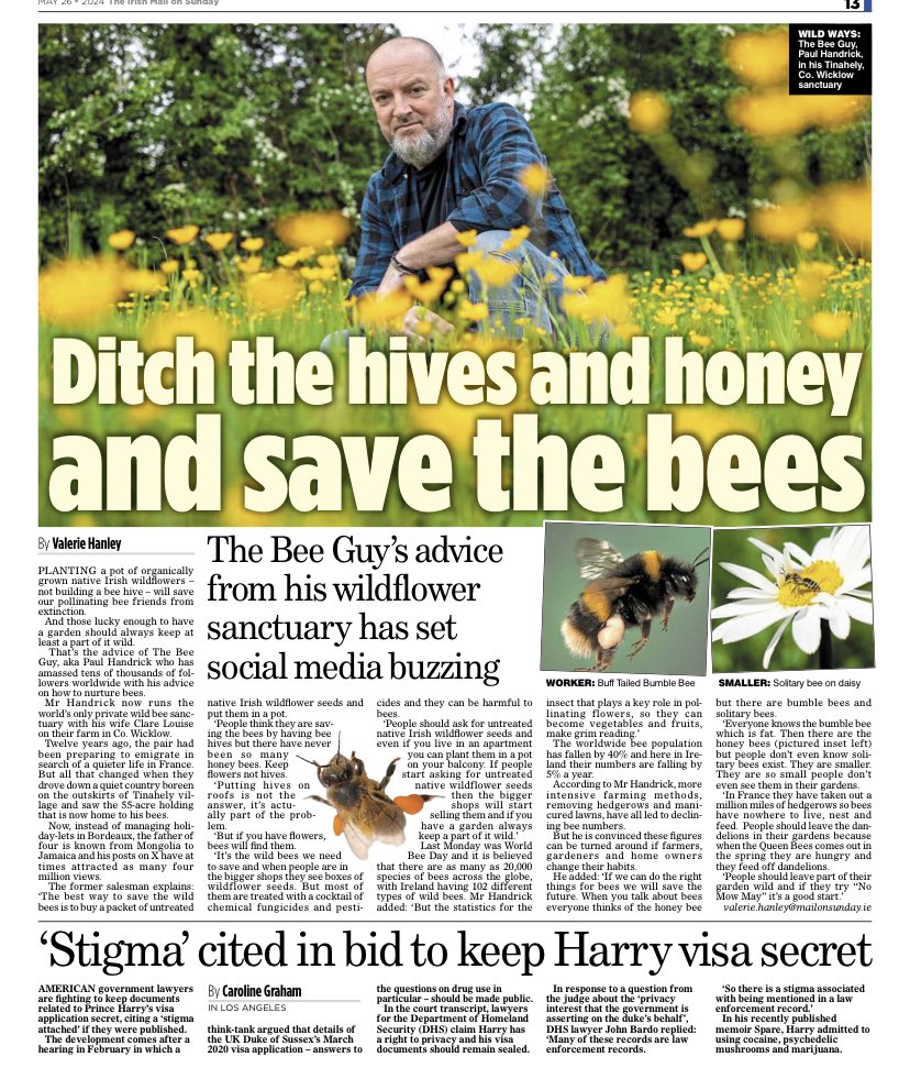 Not precisely what I said but if we’re getting native wild bees in the newspapers with our work and messaging it’s a good start.
We’ll take that.
 
Keep flowers not hives if you want to help endangered native wild #bees.

Chemical-free native #wildflowers are where it’s at.