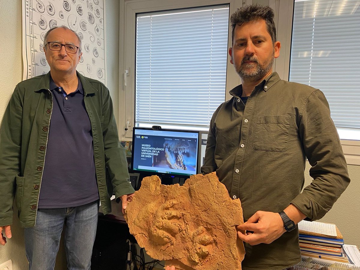 Lab. Patrimonio Natural tweet media