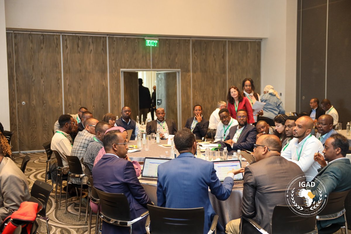 IGAD Member States are actively participating in group discussions at the 3rd Groundwater Regional Learning Event. Today's sessions are dedicated to integrating environmental considerations into project planning. The goal is to enhance the environmental aspects of country-level