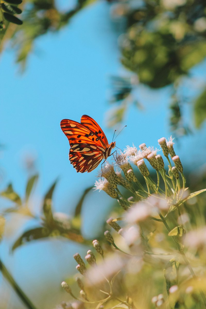 Remember, it’s not your responsibility to change someone who is manipulating you. No matter what, keep in mind that your highest priority should be your own mental health. Seek help when needed and focus on your own well-being. 📸Victòria Durate