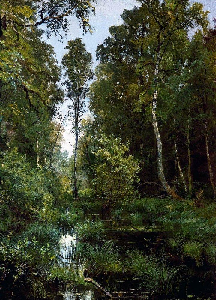 Overgrown pond at the edge of the forest. Siverskaya, 1883 linktr.ee/shishkin_artbot