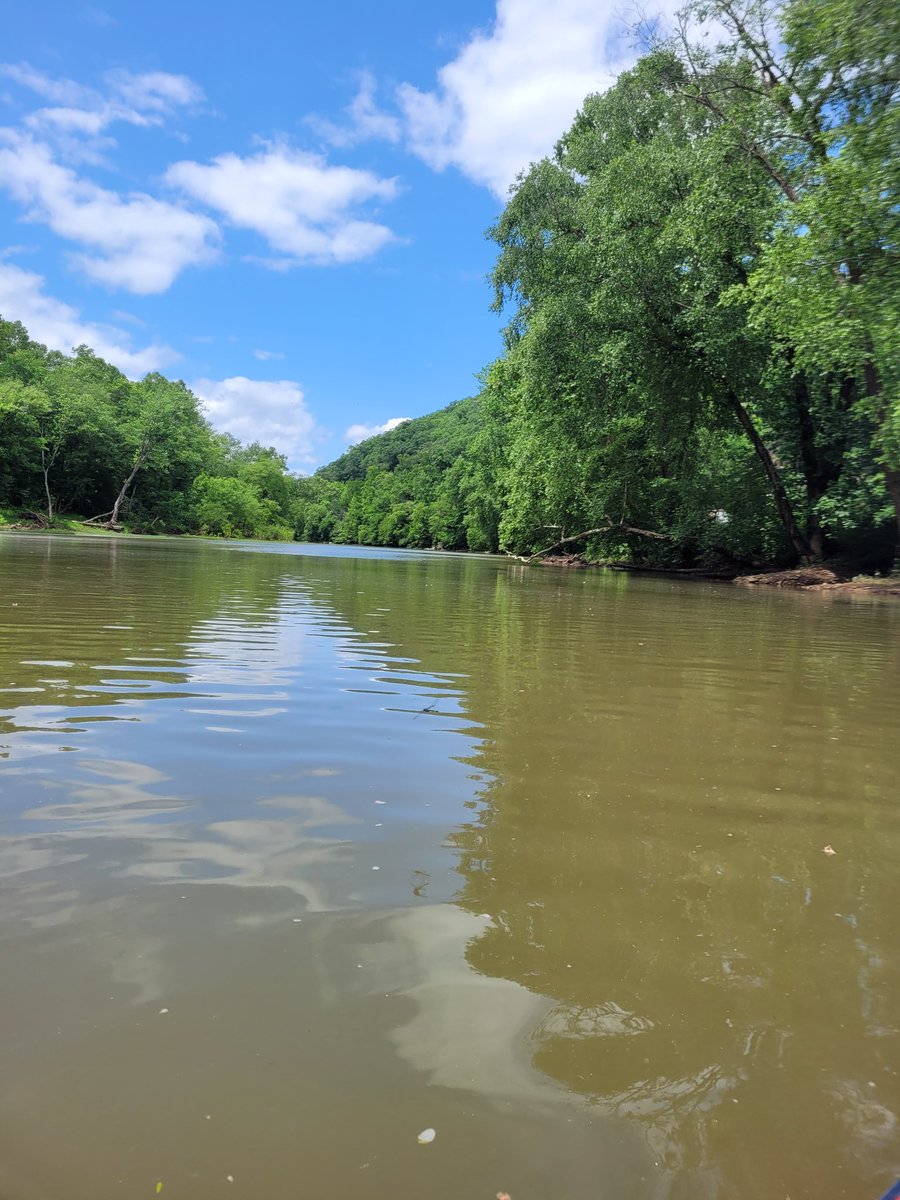 RedDaggerTV's tweet image. Little adventure.