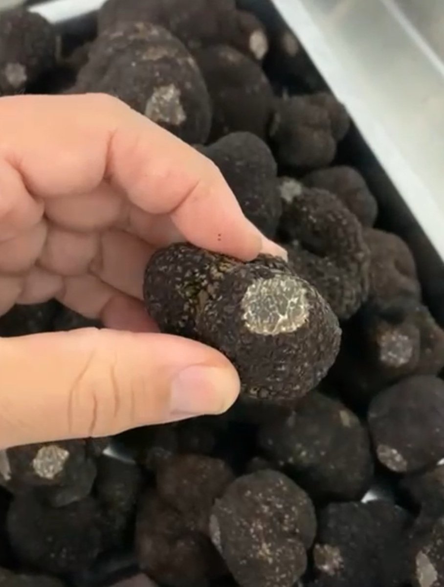 Winter truffles are back! Contact me for details.

Orders@sybariticfare.co.uk

#melanosporum #truffles #decadence #gourmet #gastronomy #aaguide #aarosette #michelinguide #michelinstar #chefsofinstagram #trufflelife #trufflemerchant #sybaritic