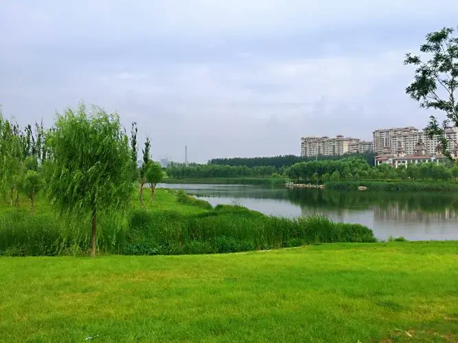 Covering 710,000㎡, Majiawan Wetland Park is a secret paradise hidden on the edge of the Southeast Fifth Ring Road, with the waters and the wetlands connected by multiple arch bridges. It is a good place for picnics, walks, cycling, running, and dog walking.
#FunInBeijing