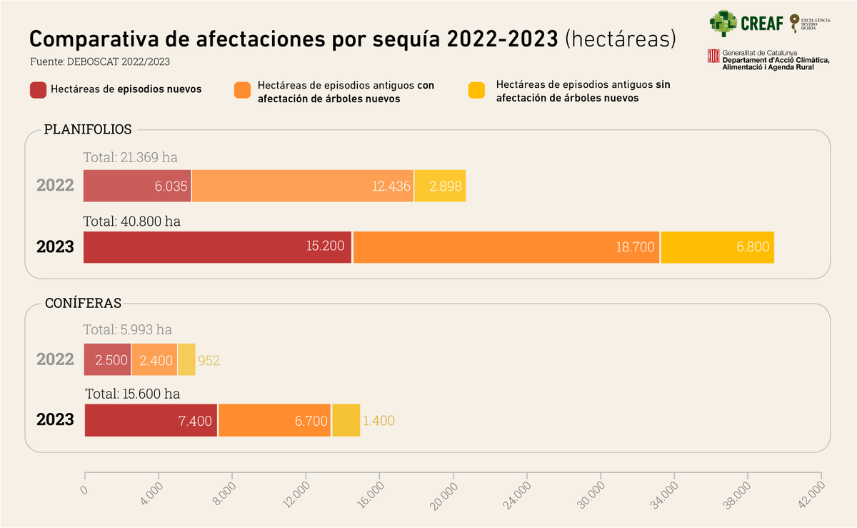 📢S'ha publicat l'informe sobre l'estat dels #boscos de Catalunya i les dades apunten a un augment brusc del decaïment i mort per #sequera 🥀📈 Aquest 2023 ha registrat 66.482 hectàrees de boscos afectats per la falta d’aigua.