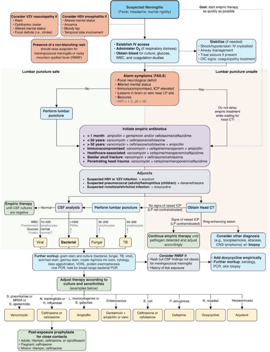 Approach to meningitis 🧠
Amazing summary 📌📚
#FOAMed #MedEd #MedTwitter #medicaleducation #MedicalStudents #Emergency #meningitis #medicine #infectiousdisease #medicaleducation #icu #criticalcare #Neurology #neuroscience