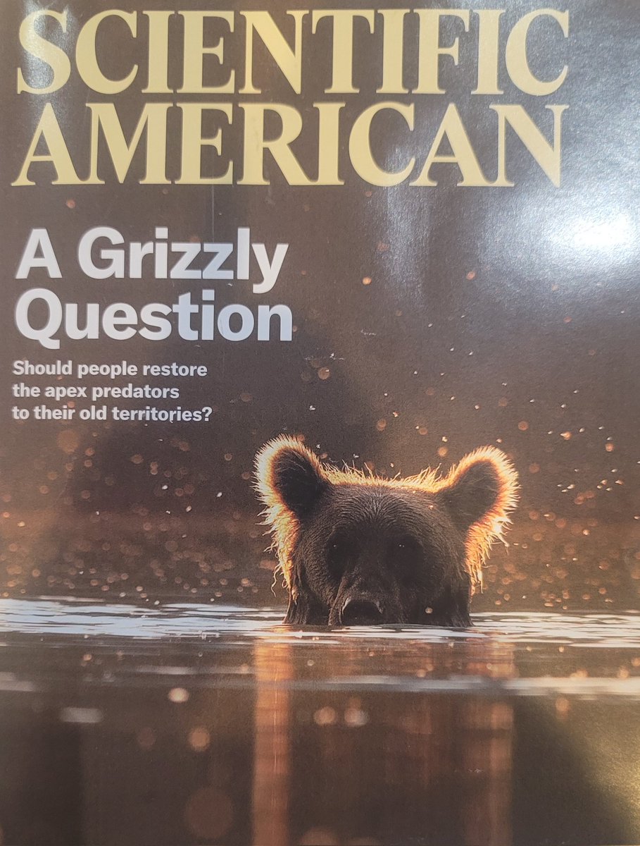 Modern Science Journalism has gotten so bad that instead of reporting on the Wuhan Bioweapons Lab Leak, or Covid-19 origina, and going after tough questions about who funded that research and why??? #SciAm would rather discuss reintroducing murderous grizzly bears to northern