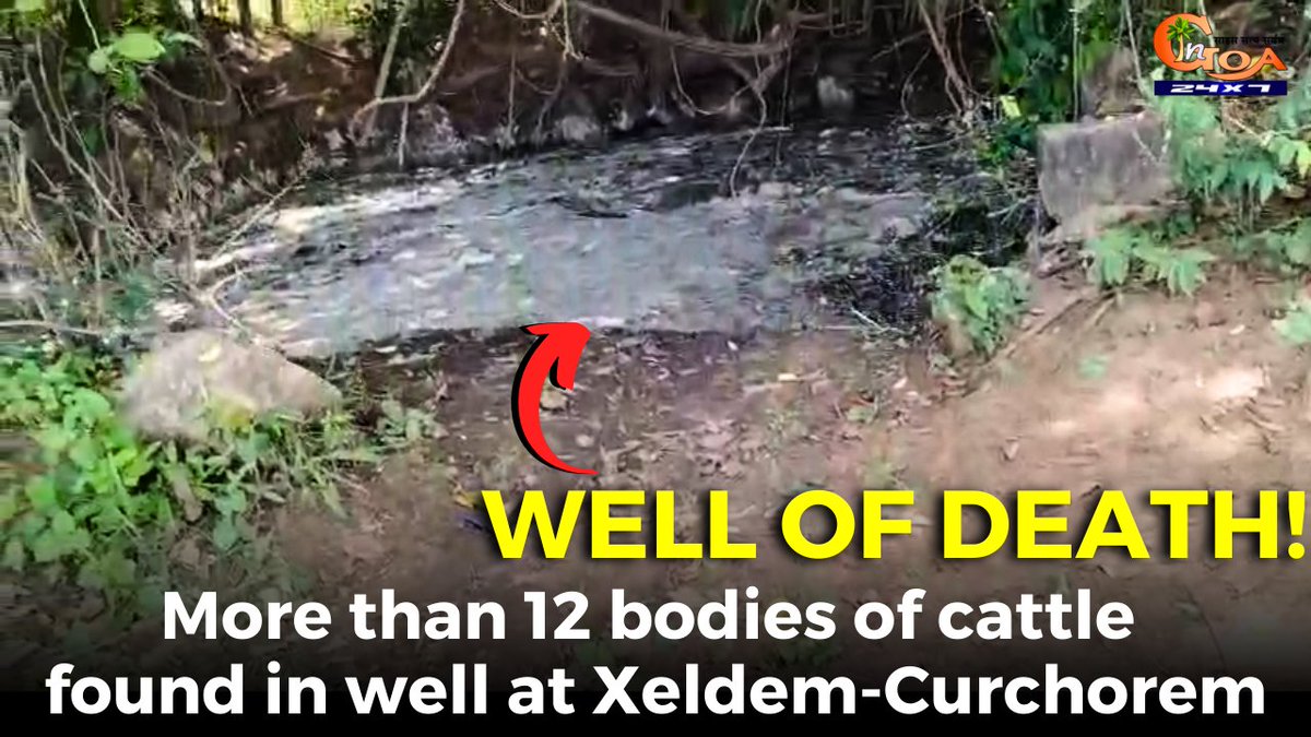 #Wellofdeath! More than 12 bodies of cattle found in well at Xeldem-Curchorem
WATCH : youtu.be/vGpueZRiryE

#Goa #GoaNews #Cattle #bodies #Well