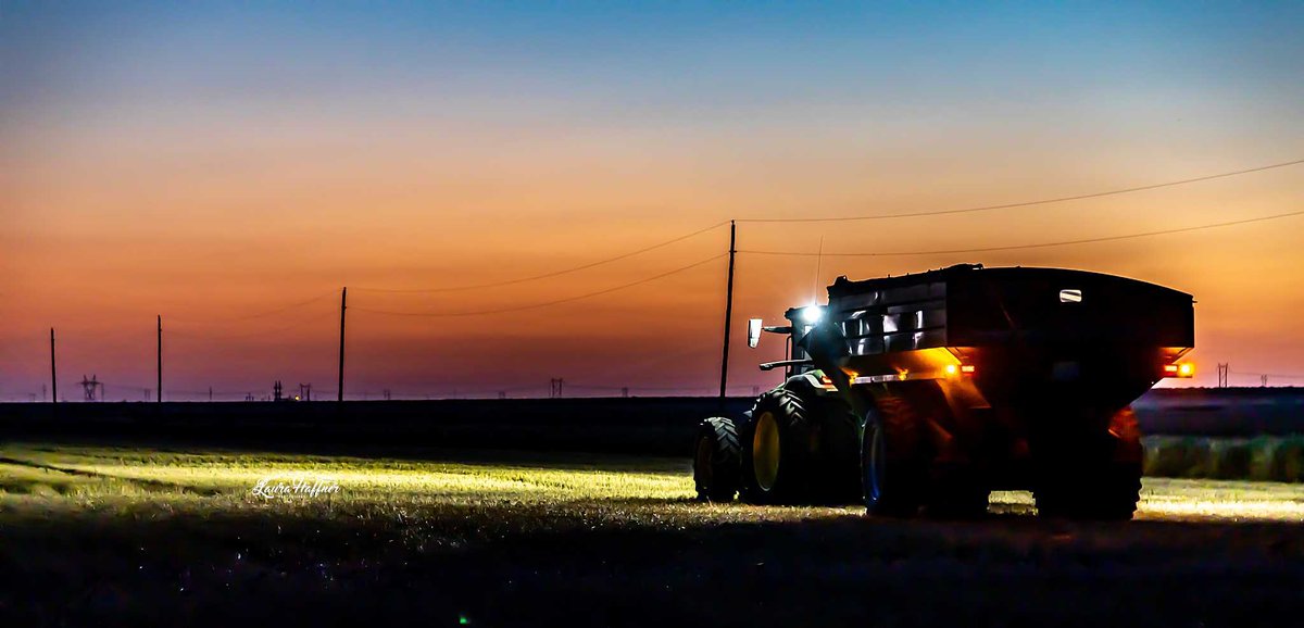 Laura Boroughs-Haffner tweet media