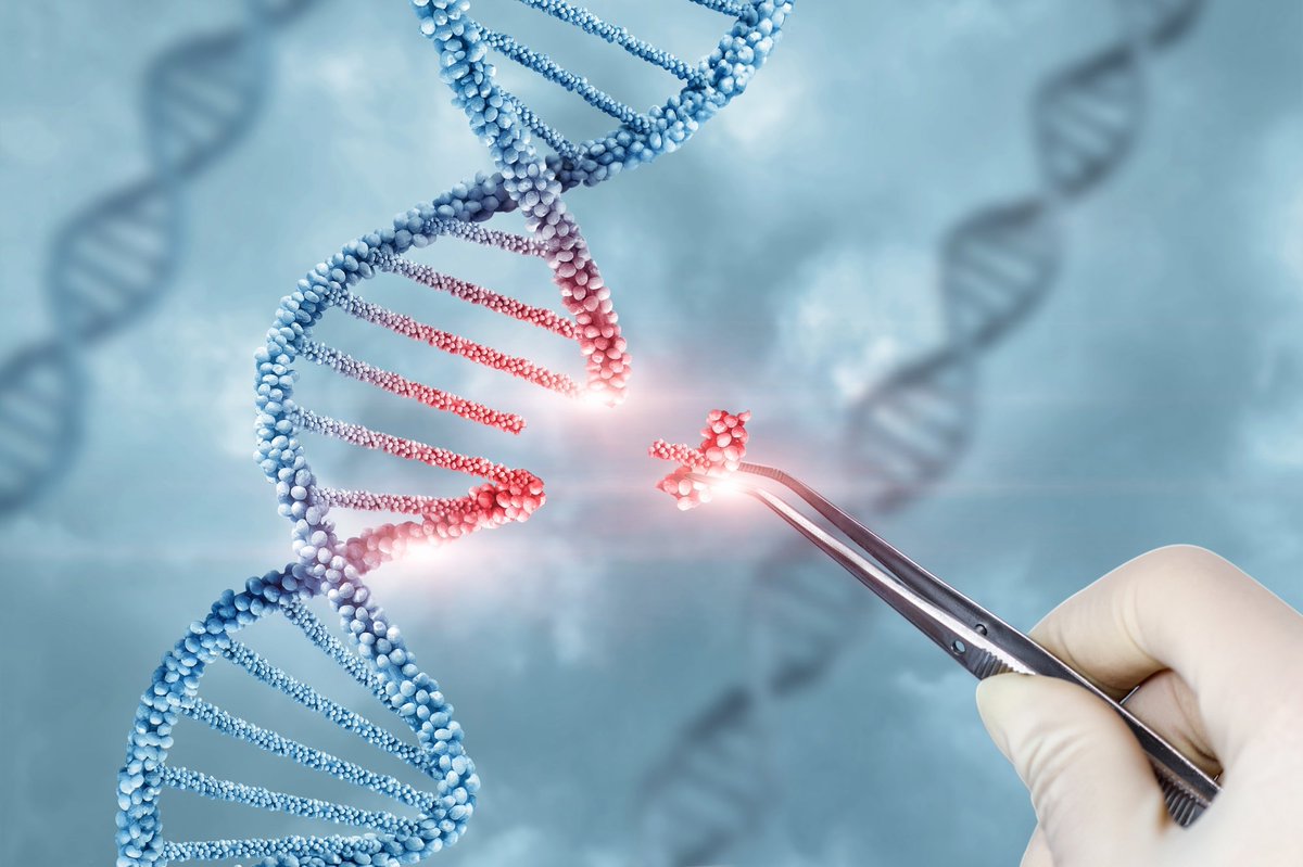 Advancing Targeted Genome Editing with Base and Prime Editing Technologies 🧬

azolifesciences.com/article/Advanc…

#genomeediting #geneediting #genomics #genetics #baseediting #primeediting #biotechnology