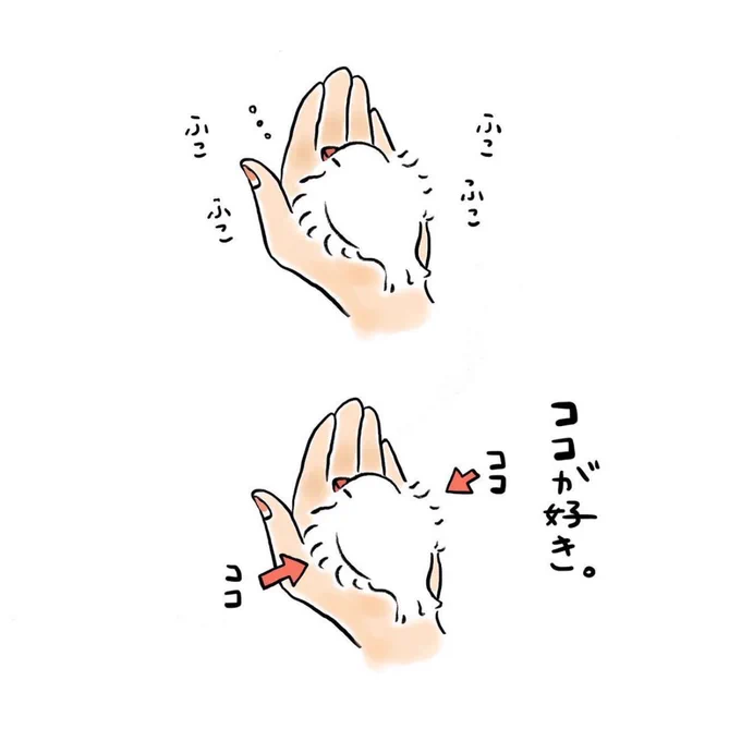 明日も20〜21時にイラスト投稿します🐦
『ココが好き』(再掲) 
