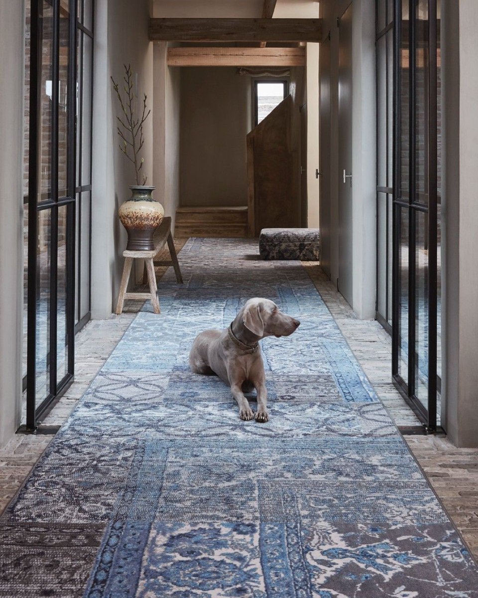 So cute! 🐶

If you're thinking about new flooring for your home or business, we've got you covered ➡️ donnellywatson.co.uk

#DonnellyWatson #HomeFlooring #ChooseRight #FlooringExperts #HomeImprovement #InteriorDesign #FlooringSolutions #UpgradeYourHome #DesignIdeas