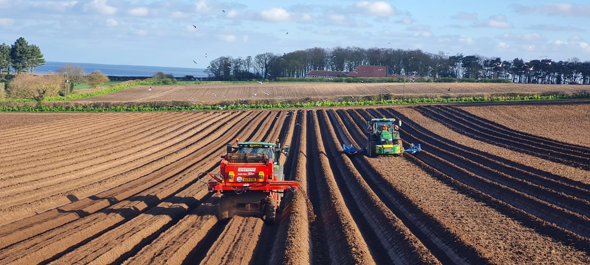 Sentry (@sentryltd) on Twitter photo We're looking for a Farm Manager’s Assistant to join our Sentry North Norfolk team and support machinery operation and estate management. Mechanical skills and experience with large machinery are required. Apply now by sending your CV to recruitment@sentry.co.uk
#FarmingJobs We're looking for a Farm Manager’s Assistant to join our Sentry North Norfolk team and support machinery operation and estate management. Mechanical skills and experience with large machinery are required. Apply now by sending your CV to recruitment@sentry.co.uk
#FarmingJobs