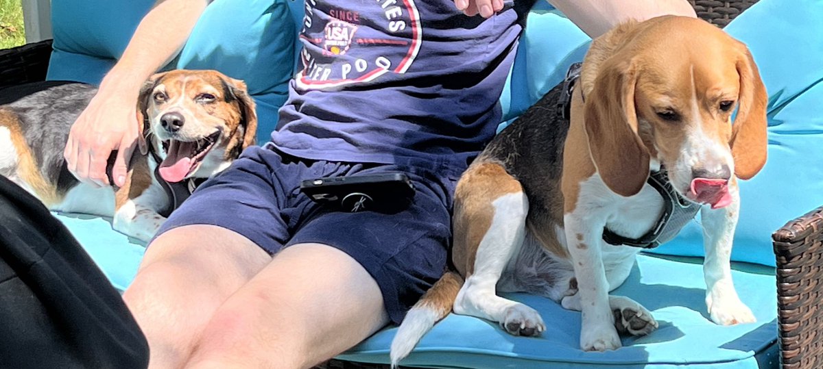 It’s a rare #DoubleTOT from Bagel The Beagle & Little Gordon Beagle (cameo by @BrotherVIP18) on this #TongueOutTuesday! 👅🥯🐶🐶👁️👅 #TOT #beagle #beagles #beaglesoftwitter #dog #dogs #dogsoftwitter #PAPups #DogsOfPA #DogsOfPennsylvania #houndsoftwitter #DogCommunity #CoopTroop