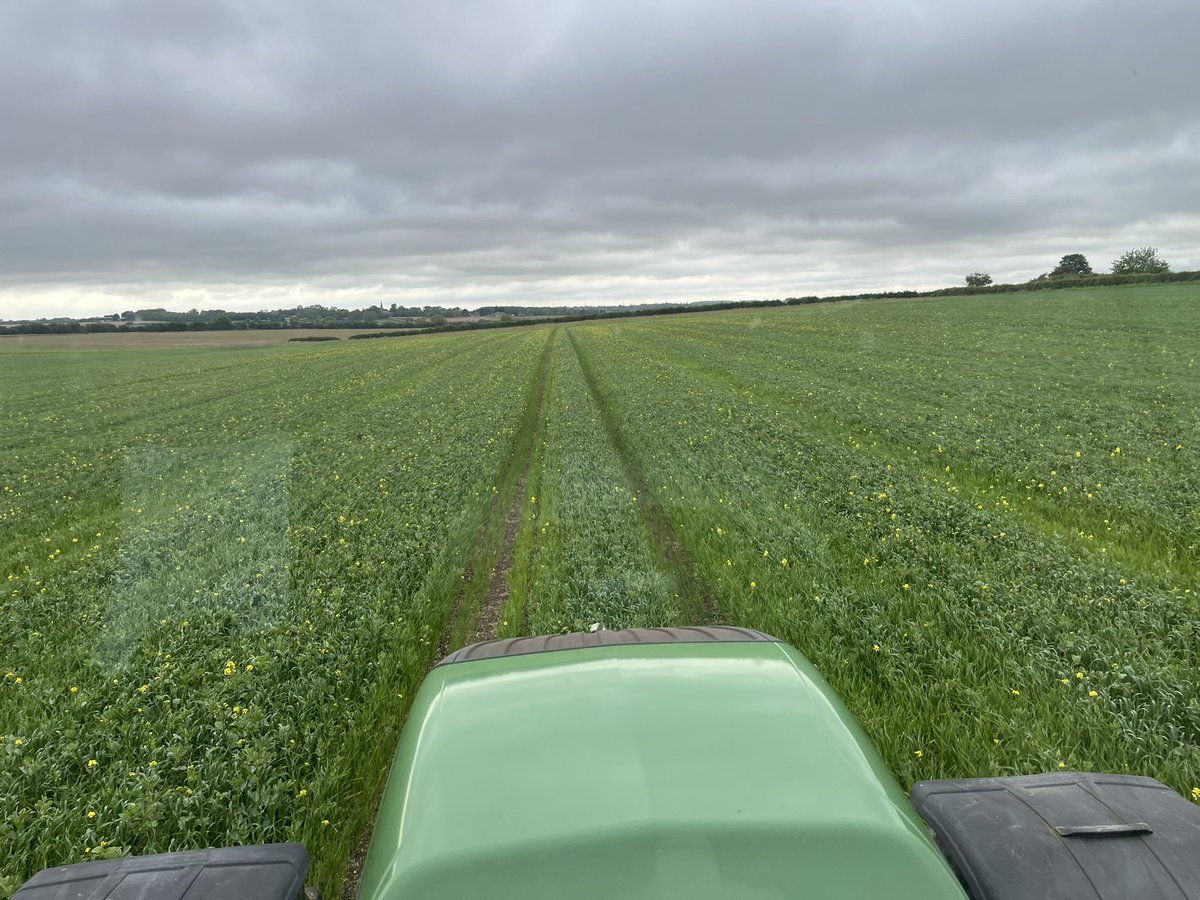 Russell McKenzie tweet media