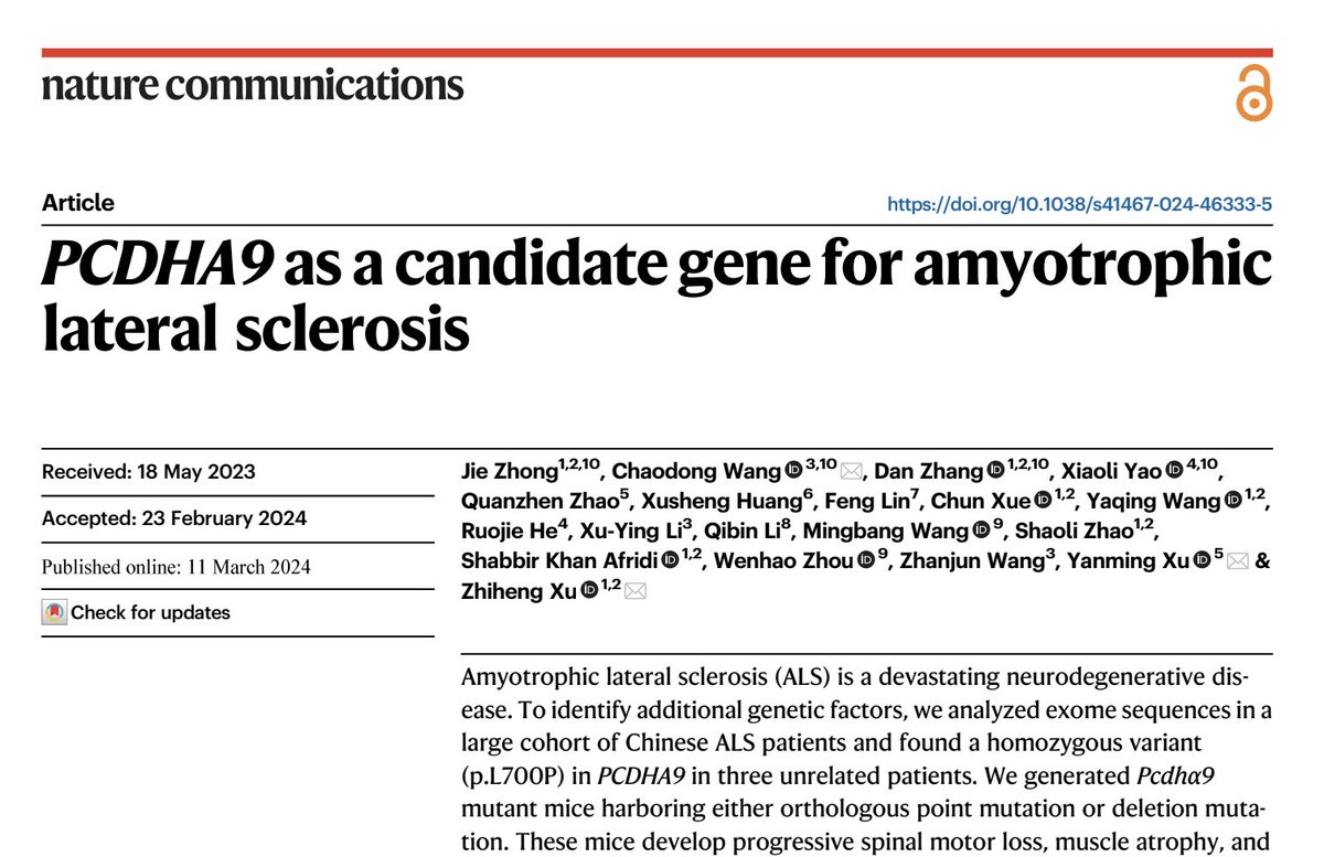 PhD in Biomedical Sciences - UNIPD (@phd_dsb_unipd) on Twitter photo Here we are!🎉
@evgeniiamontanova chose a <a href="/NatureComms/">Nature Communications</a> paper on #ALS, opponents @giorgiaschiavone and @sabrinazorzato; second speaker <a href="/ilariapiazza/">Ilaria Piazza</a> will discuss on #asthma from <a href="/ScienceMagazine/">Science Magazine</a>,opponents @elenafrigo and @simonazito
📌room RN, vallisneri 14:30-16:30
#staycurious👀 Here we are!🎉
@evgeniiamontanova chose a <a href="/NatureComms/">Nature Communications</a> paper on #ALS, opponents @giorgiaschiavone and @sabrinazorzato; second speaker <a href="/ilariapiazza/">Ilaria Piazza</a> will discuss on #asthma from <a href="/ScienceMagazine/">Science Magazine</a>,opponents @elenafrigo and @simonazito
📌room RN, vallisneri 14:30-16:30
#staycurious👀
