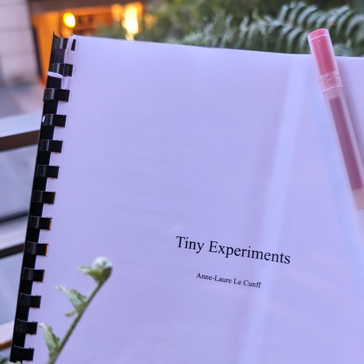 I can’t believe I’m typing this... We have a title AND I just submitted the final manuscript!! 🥹🎉✨😍🥰💛🙌 Tiny Experiments is a book about living a more experimental life, navigating uncertainty with curiosity & figuring out your own definition of success. It’s the