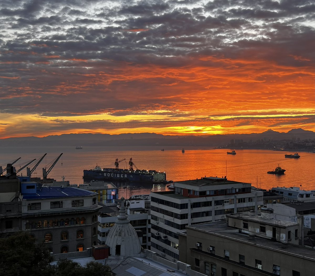 Macarena Carroza tweet media