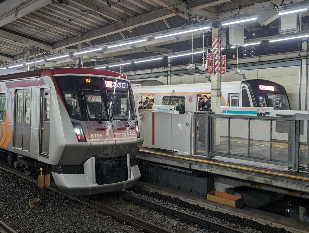 田園都市線が全線運転見合わせの影響で、普段営業では絶対に並ばない下り大井町線急行
左溝の口行き 右長津田行き