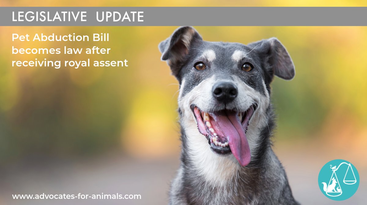 Abducting a companion animal is now a criminal offence under the Pet Abduction Act 2024. Read more at bills.parliament.uk/bills/3549