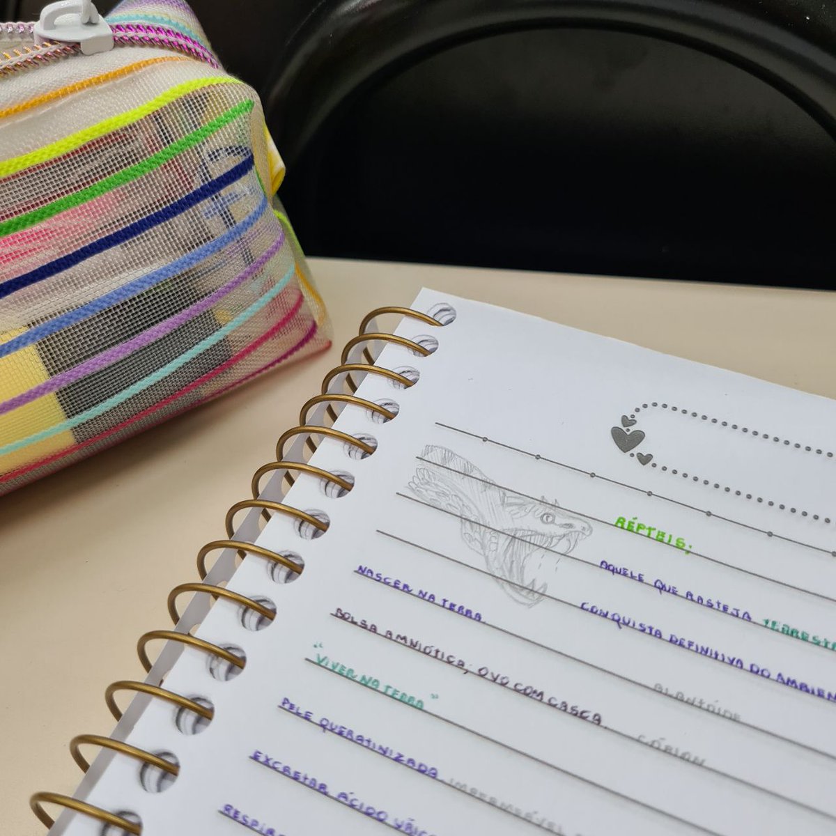 studywcami's tweet image. bom dia! 🐍