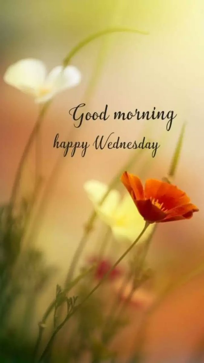 Good morning UNIVERSE 🌷 Be blessed with a wonderful Wednesday 💫 We LOVE you ALL 🙏💕☕️