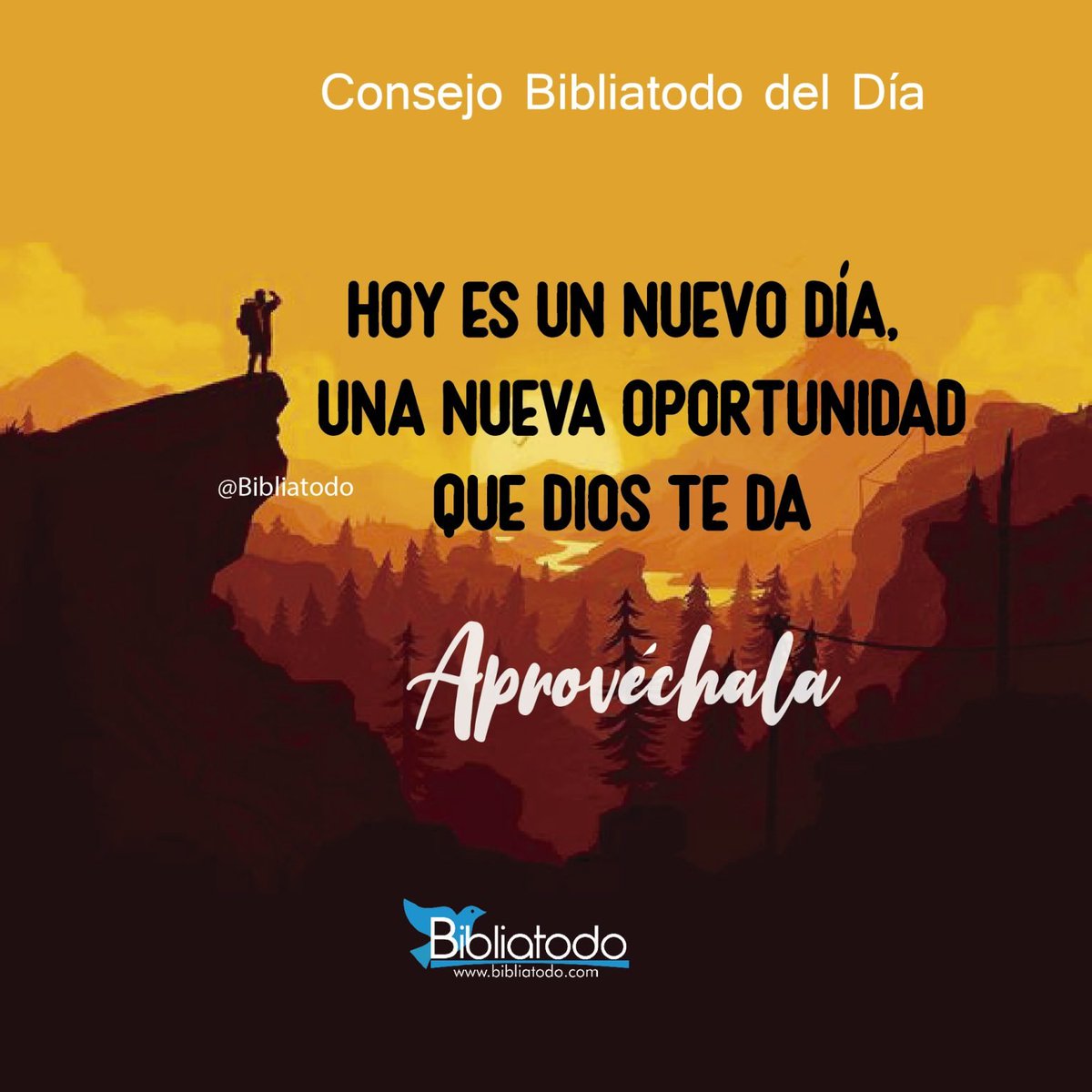 ¡Feliz martes!

#buenosdias #imagenes #diostebendiga #amor #esperanza #fe #cristo #espiritusanto #felizdia #graciasdios #bendecidos #Dios #martes