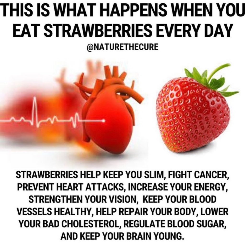 Would start incorporating STRAWBERRIES 🍓 in your everyday meals? 

Nature has indeed blessed us with herbs and roots 

Sincerely,
Oluwayomi Herbs 🌿🪴