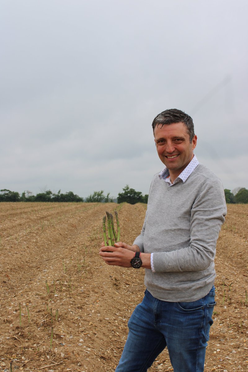 Asparagus lovers, rejoice! We're seeing some incredible spears making their way through the supply chain, ensuring freshness and quality at every step. This season's asparagus is a testament to the dedication of all asparagus growers.

#AsparagusSeason #FieldToTable #FreshProduce