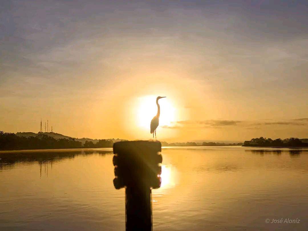 ¡Buenos días camaradas! 🌻 📌Desde El Río San Juan con esta hermosa fotografía 📸 Jose Alaniz