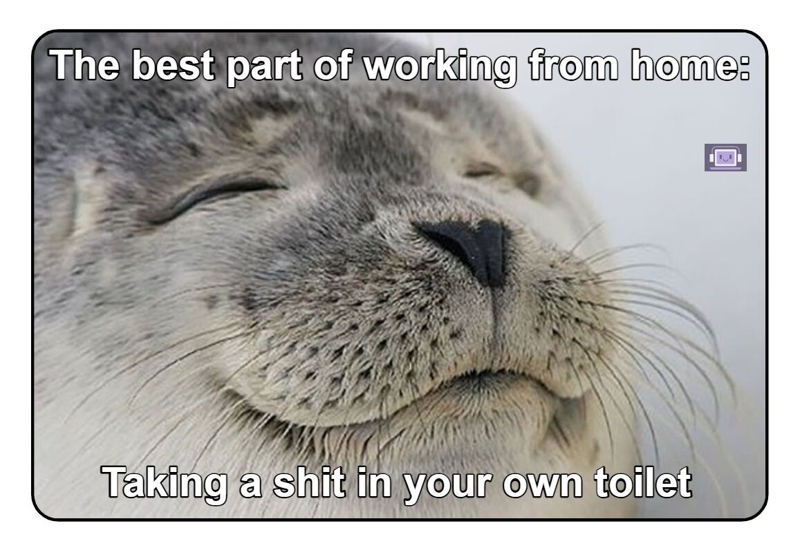 Enjoying the luxury of your own bathroom throne.
#meme #funny #humor #lol #memes #funnymemes #bestmemes #work #freshmemes #lmao #dankmemes #memesdaily #edgymemes #art #dank #love #dankmeme #comedy #offensivememes #instagram #tiktok #fun #memepage #spicymemes #workmemes #memelord