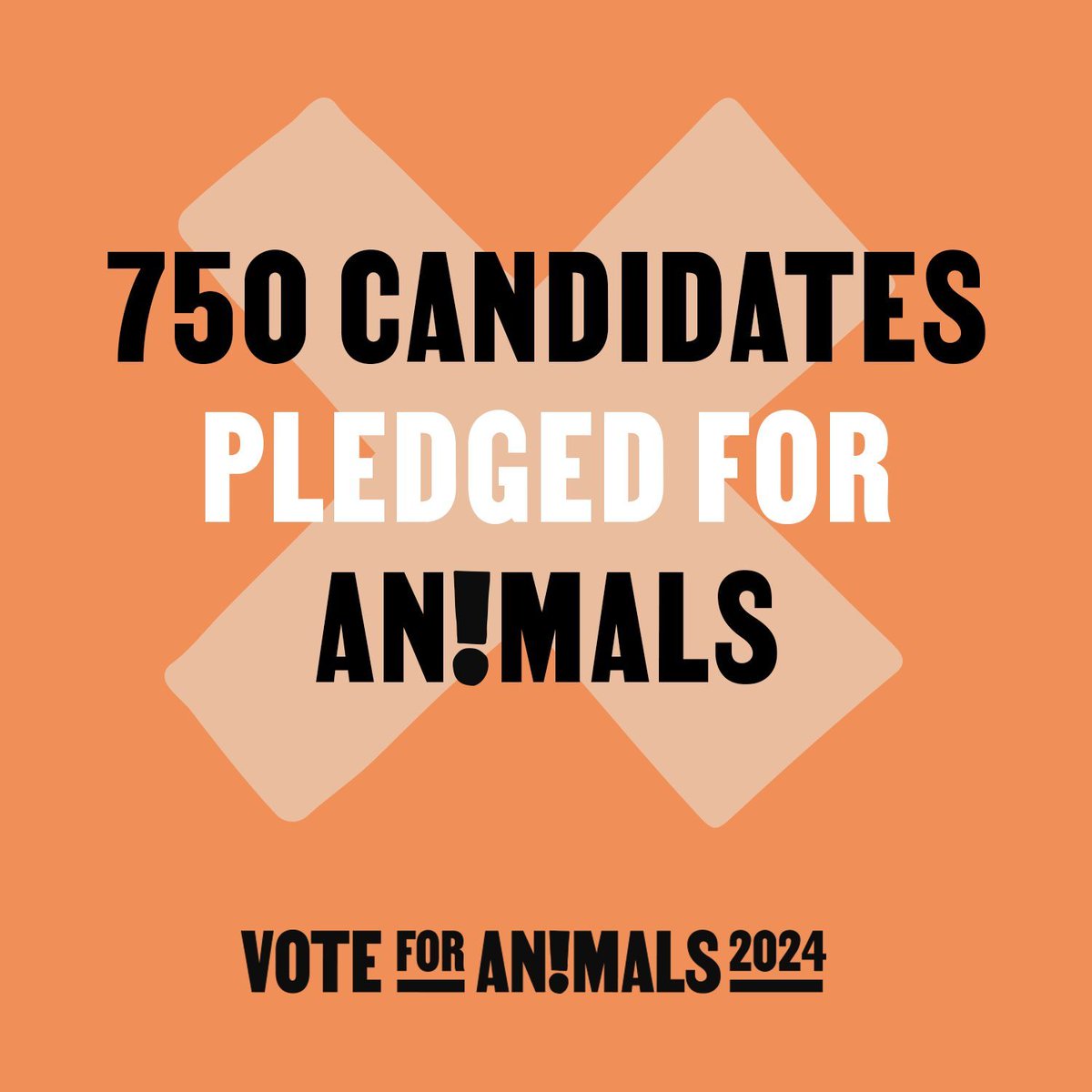 🤩 INCREDIBLE!

750+ #EUelections2024 candidates signed the #VoteforAnimals pledge.

This incredible result reflects the demand for better #animalwelfare standards echoing from across Europe.👏

The elections are around the corner. Let's get to 1,000!🚀 citizens.voteforanimals.org