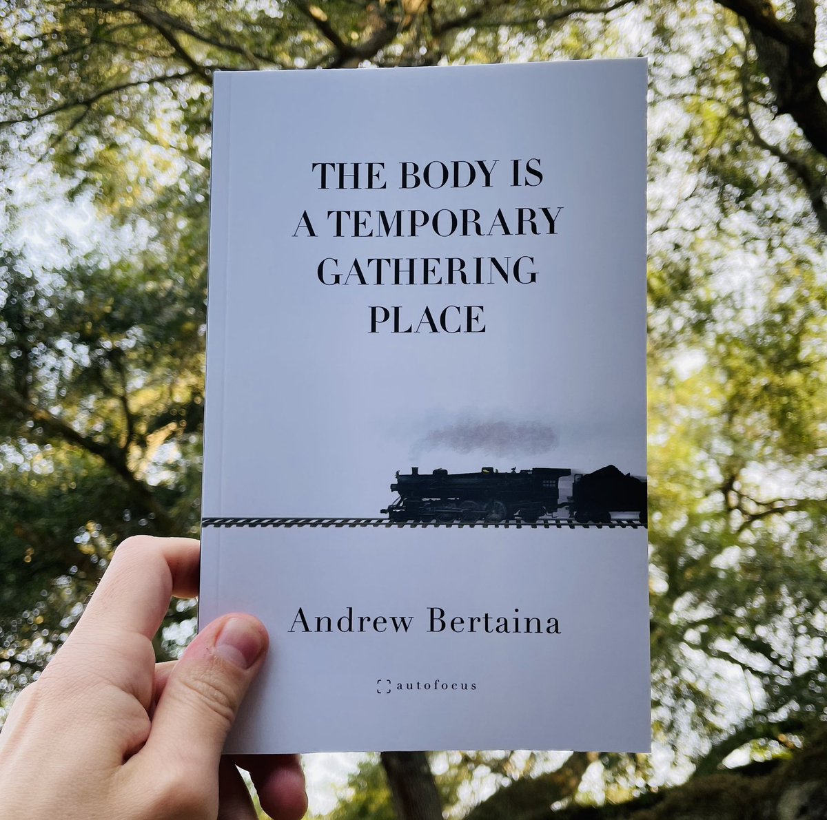 Happy launch day to @andrewbertaina! Here is THE BODY IS A TEMPORARY GATHERING PLACE under a tree. Very Bertaina, I must say! Get a copy here: autofocuslit.com/store/p/the-bo…