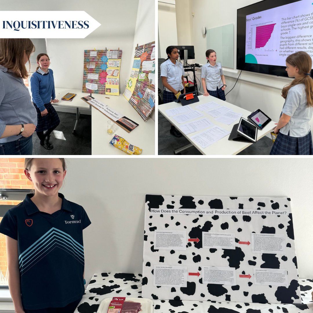 TormeadSchool's tweet photo. Our Beacon Project encourages independent study and exploration of personal interests for students. Year 7 &amp; 8 presented their UN sustainable goals projects and enjoyed an activity day with 'willow twisting' as a reward for there dedication. Check out the designs! #BeaconProject https://t.co/arRn5GNYBS