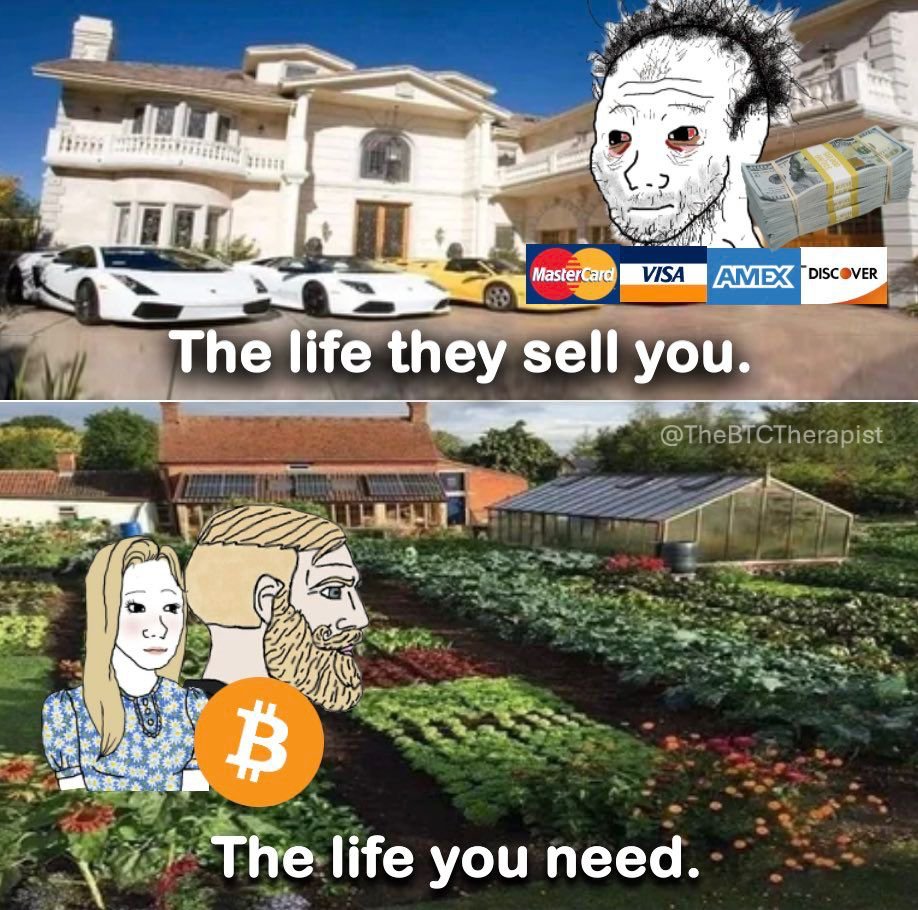 When the American Dream becomes the American Nightmare. 

#OptOut from the #fiat slavery with #Bitcoin 

Meme credit: @TheBTCTherapist