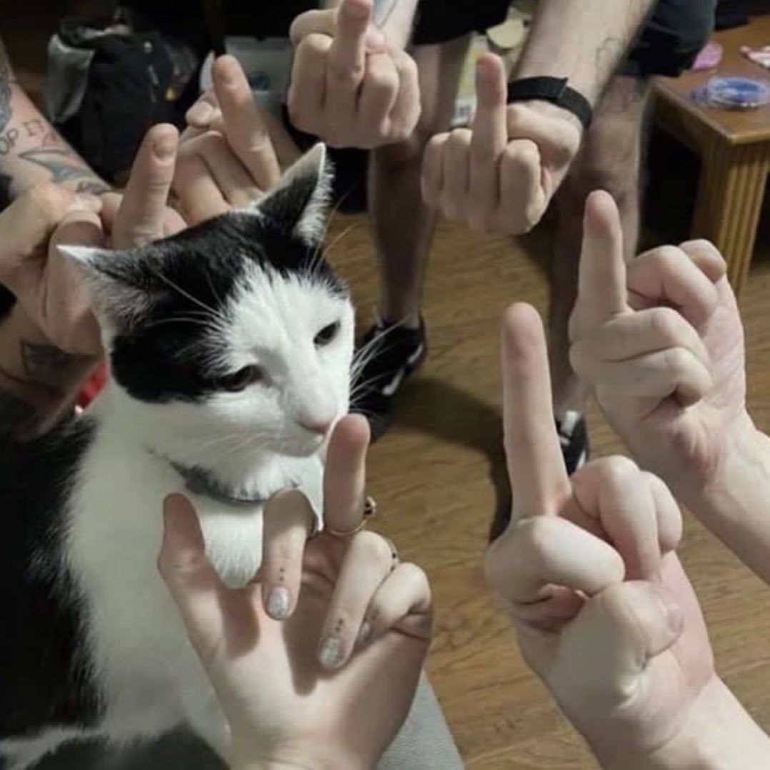 Punch Cat (@PunchingCat) on Twitter photo 2024-05-28 12:04:01