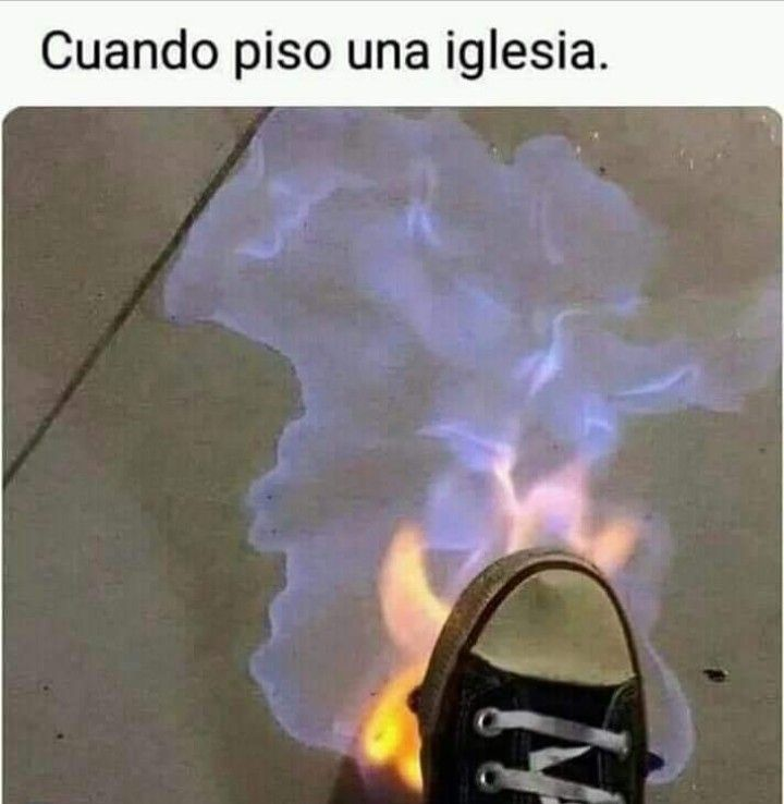 Marcos Fermin tweet media